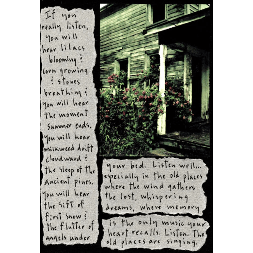 The Old Places Are Singing Story Picture at PINCH