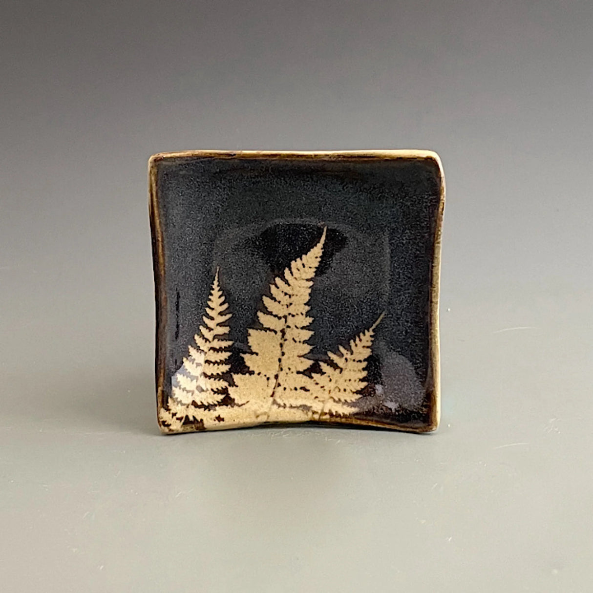 Dark Fern Soy Dish