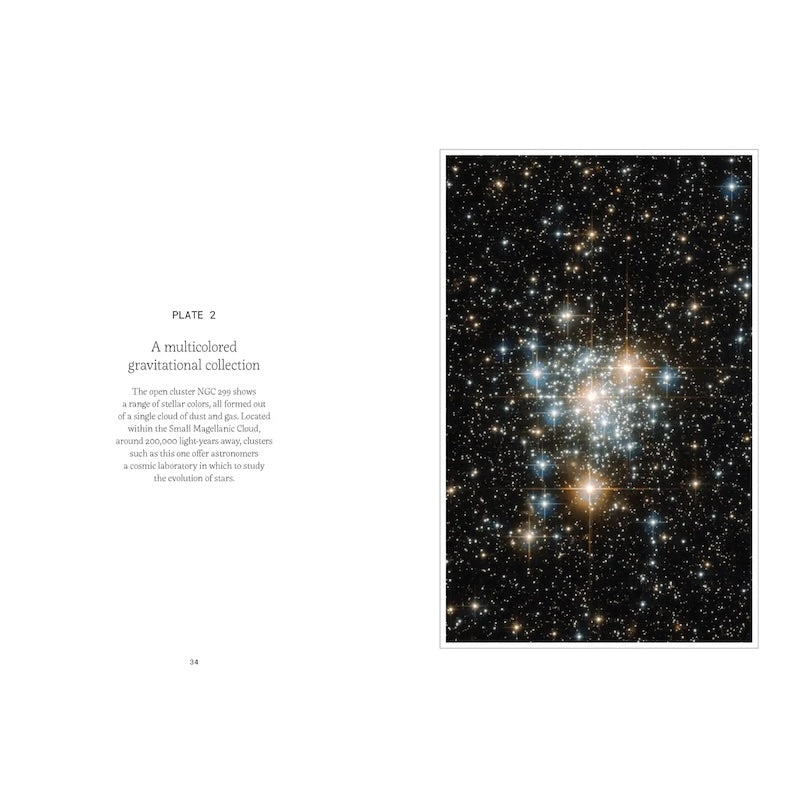 Forty Ways To Know A Star from Chronicle Books at Pinch in Northampton, MA