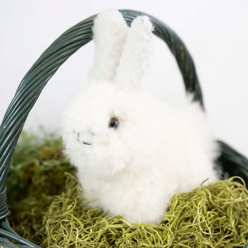 Alpaca Bunny - 6" at PINCH