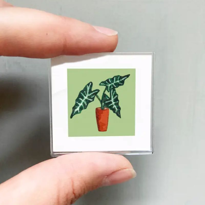 Alocasia Houseplant Mini Magnet from Mick's Art Goods at Pinch in Northampton, MA