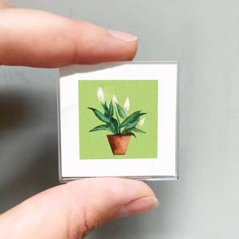 Peace Lily Houseplant Magnet at PINCH