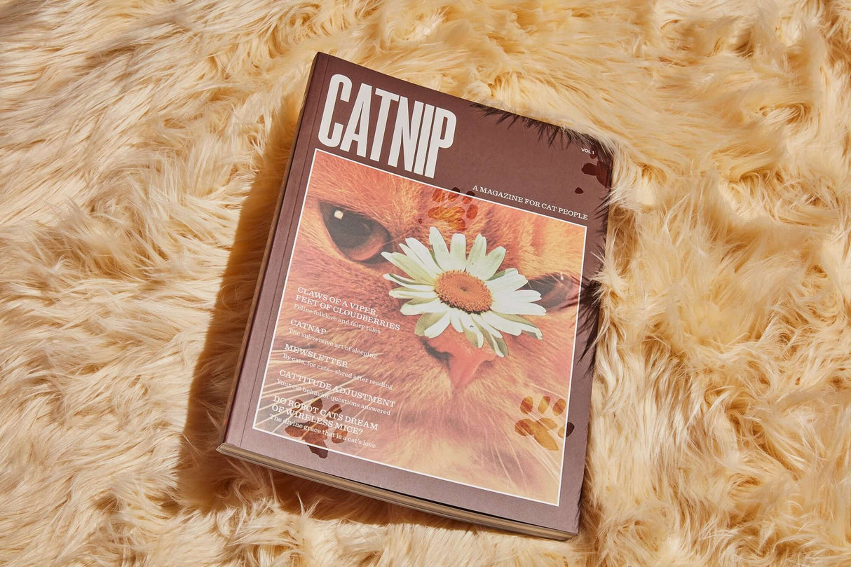 Catnip Magazine at PINCH