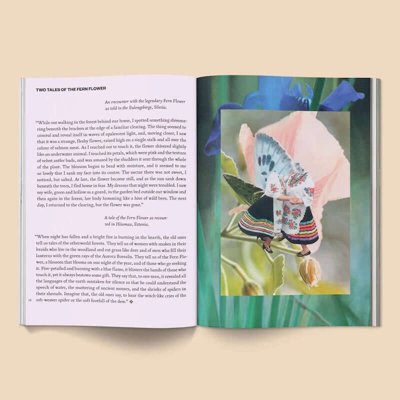 Fruit of Mythic Dreaming: Imagined Folklore Book from Broccoli at Pinch in Northampton, MA