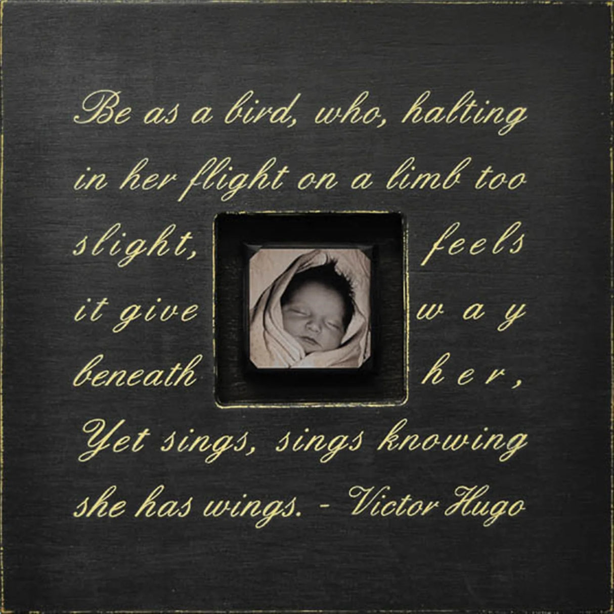 Be as a Bird Photobox from Sugarboo Designs at Pinch in Northampton, MA