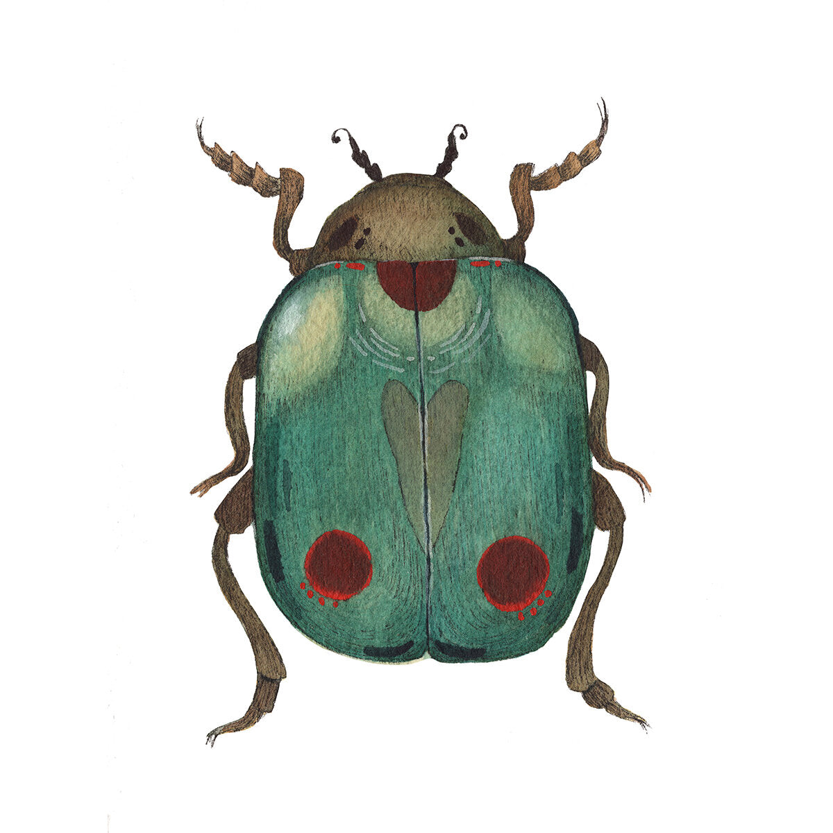 Bug Collection: Beetle 5x7 Print from Polanshek of the Hills at Pinch in Northampton, MA
