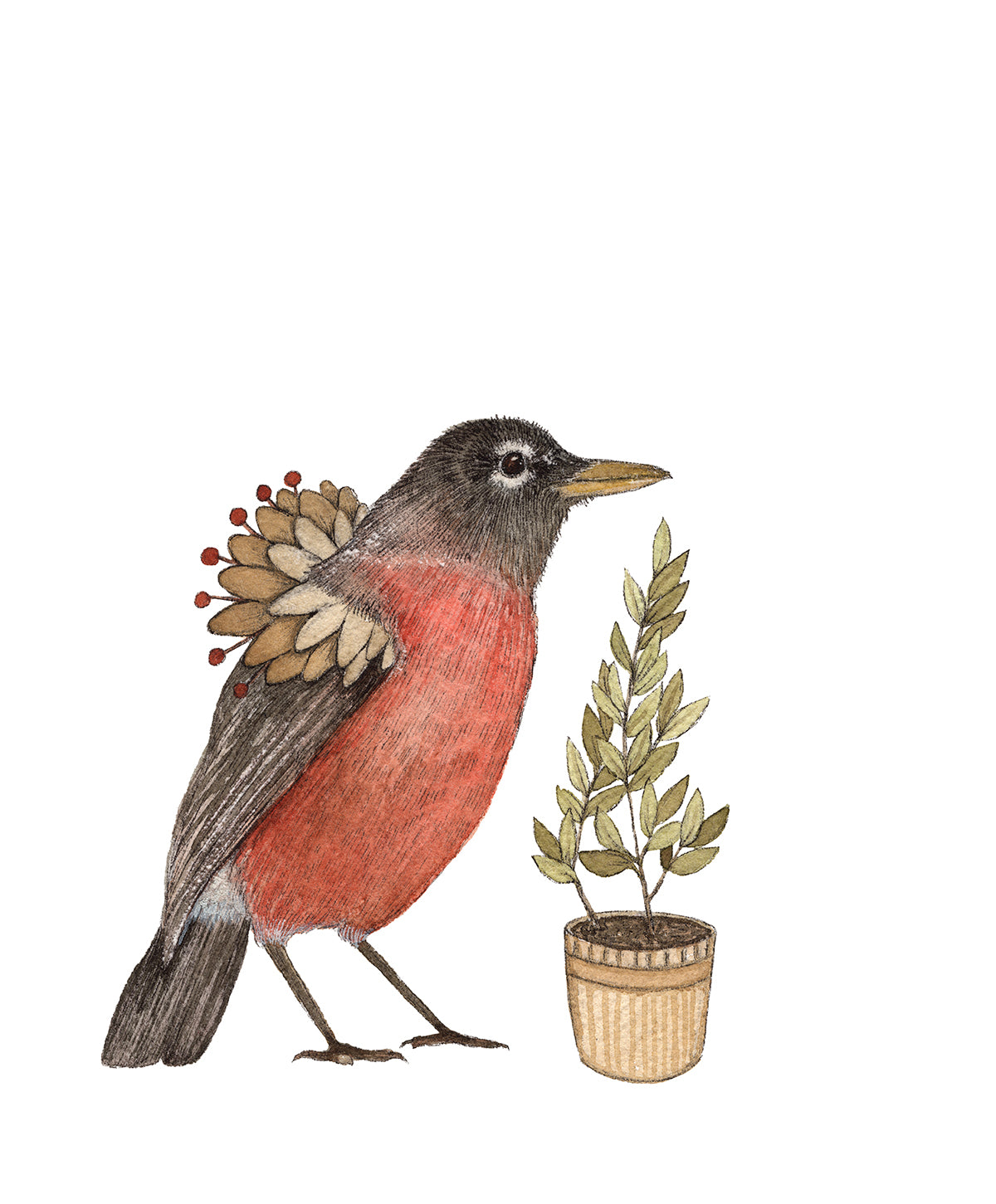 Critters and Plants: The Robin 5x7 Print from Polanshek of the Hills at Pinch in Northampton, MA