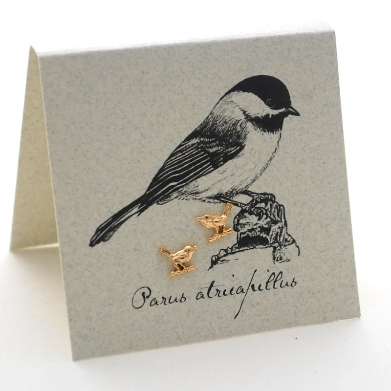 Chickadee Stud Earrings in 14k Gold Fill from semaki & bird at Pinch in Northampton, MA
