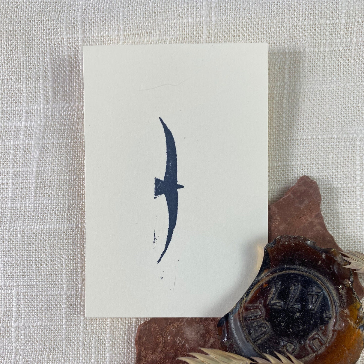 2x3 Bird Print from Kellie Rainville at Pinch in Northampton, MA