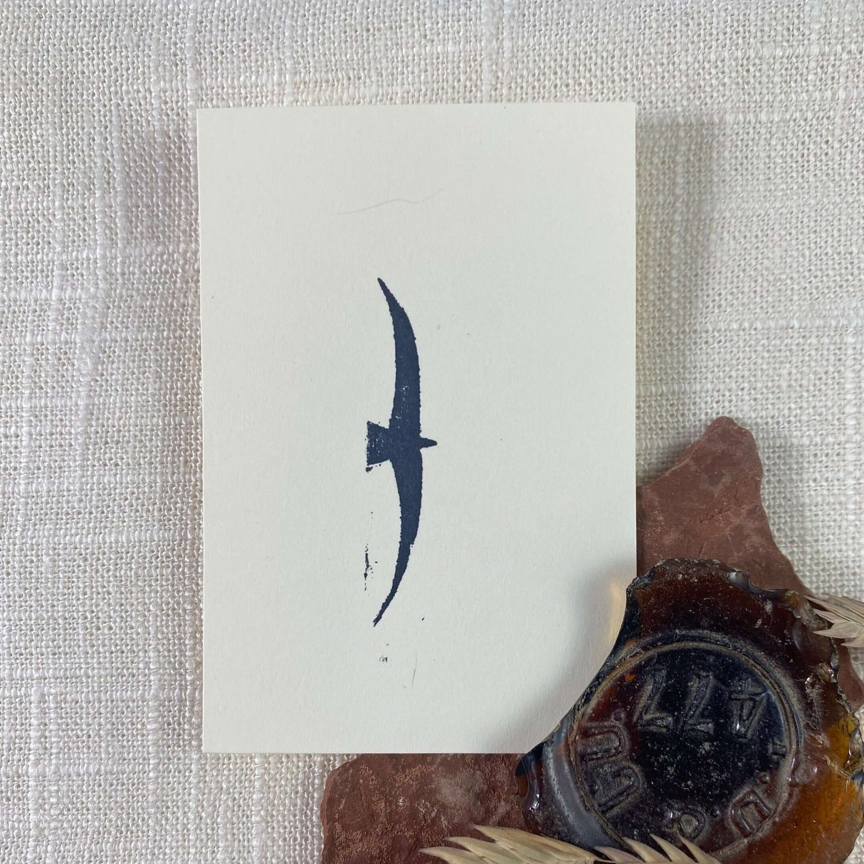 2x3 Bird Print from Kellie Rainville at Pinch in Northampton, MA