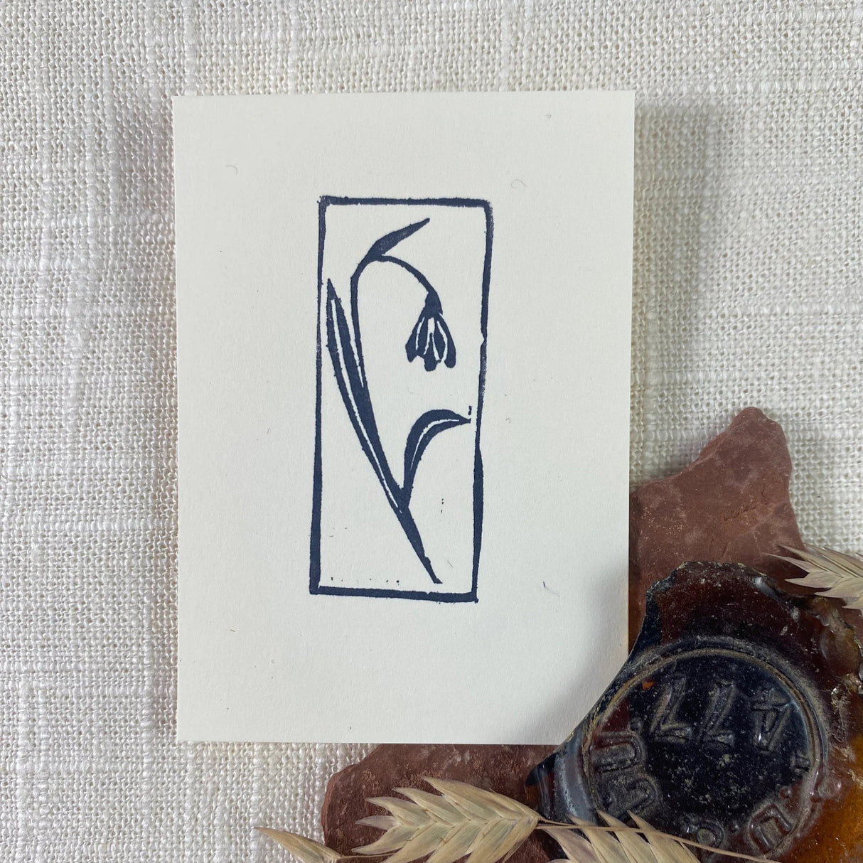 2x3 Snowdrop Print from Kellie Rainville at Pinch in Northampton, MA