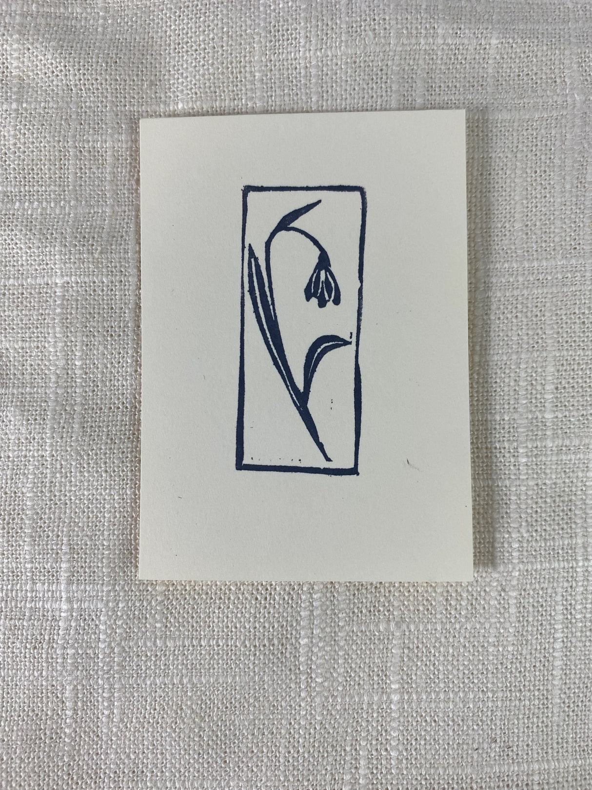 2x3 Snowdrop Print from Kellie Rainville at Pinch in Northampton, MA