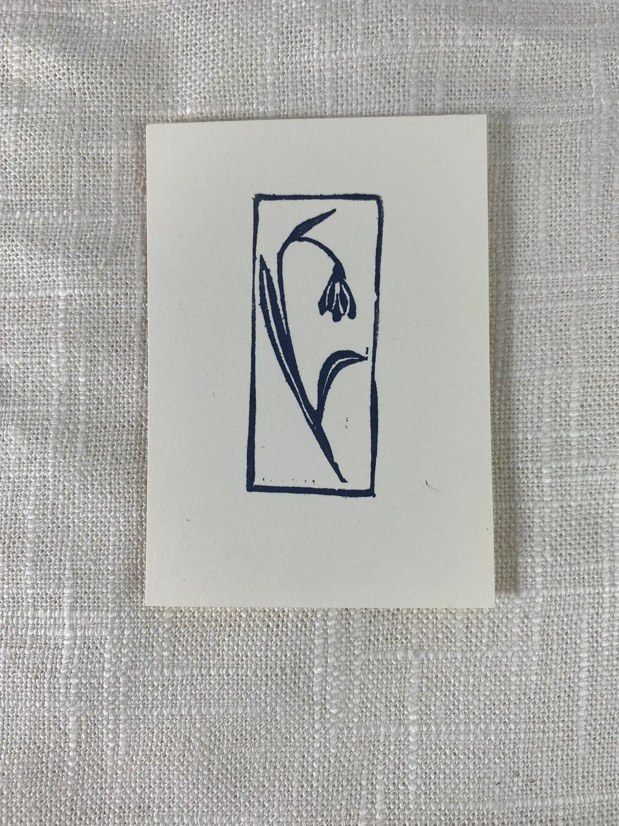 2x3 Snowdrop Print from Kellie Rainville at Pinch in Northampton, MA