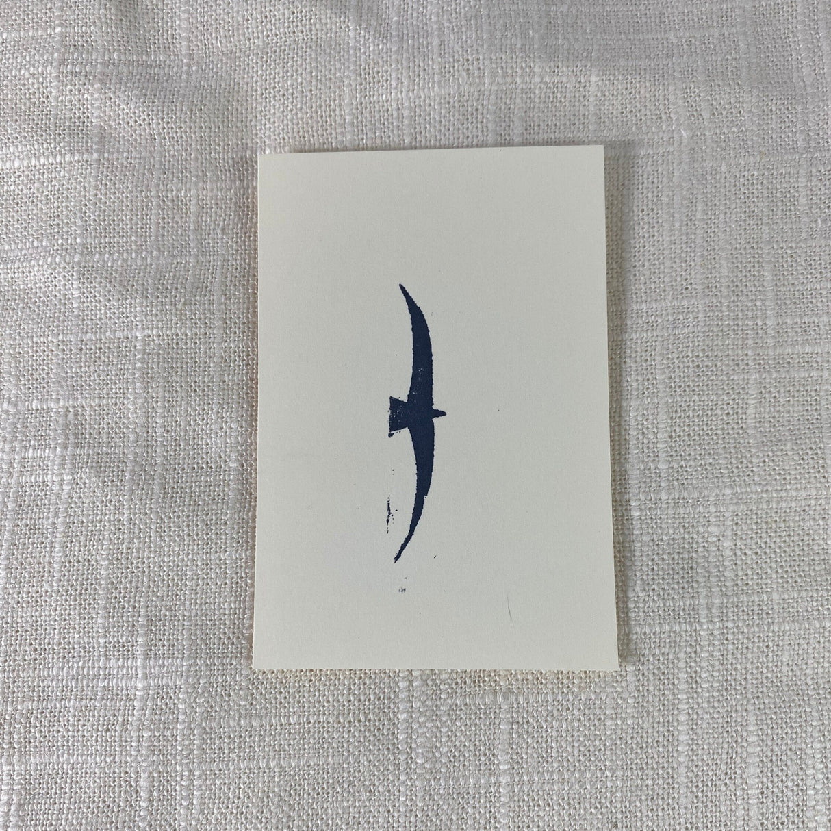 2x3 Bird Print from Kellie Rainville at Pinch in Northampton, MA
