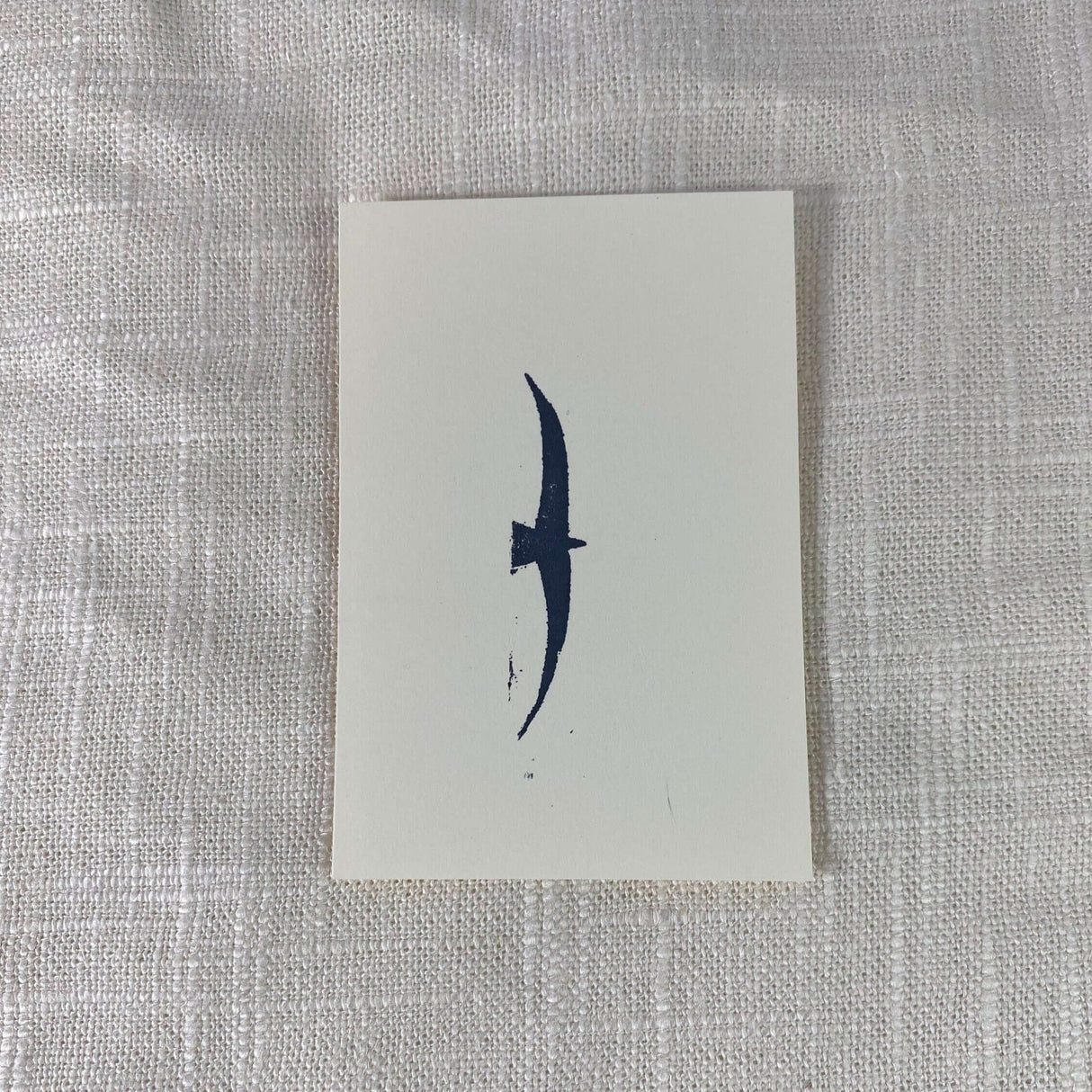 2x3 Bird Print from Kellie Rainville at Pinch in Northampton, MA