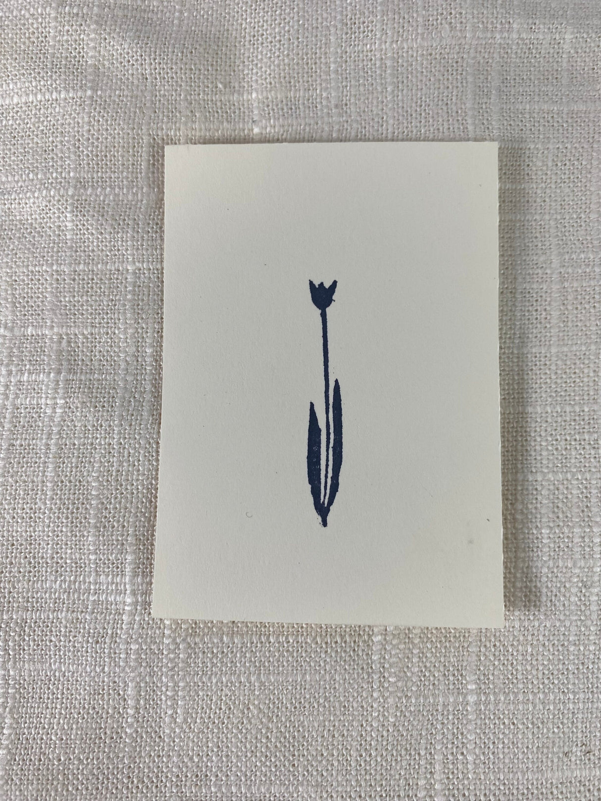 2x3 Tulip Print from Kellie Rainville at Pinch in Northampton, MA