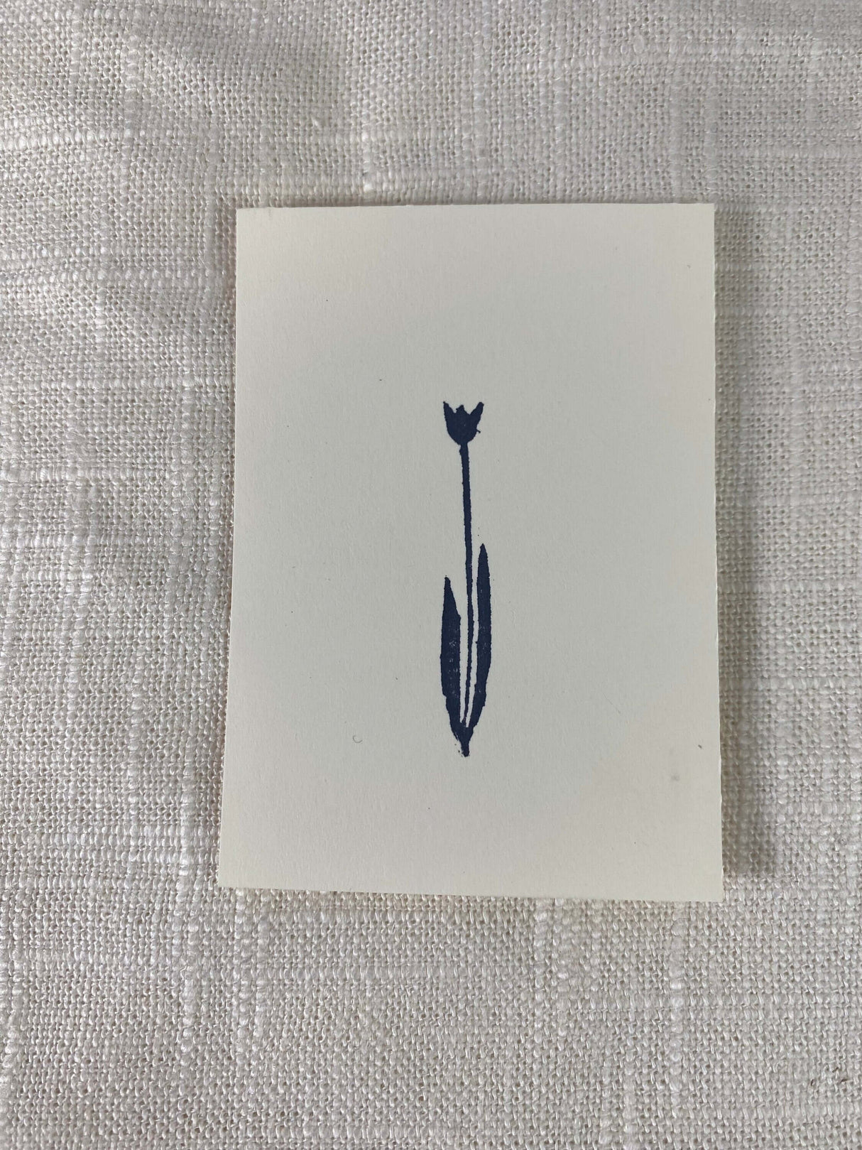 2x3 Tulip Print at PINCH