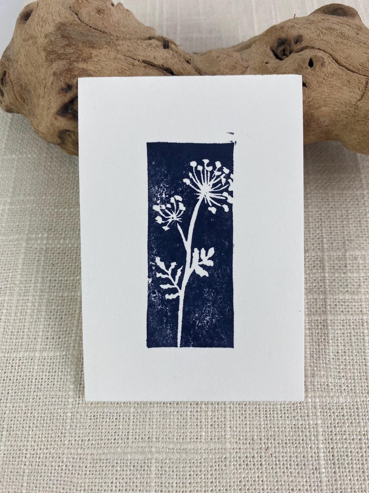 2x3 Queen Anne's Lace Print from Kellie Rainville at Pinch in Northampton, MA