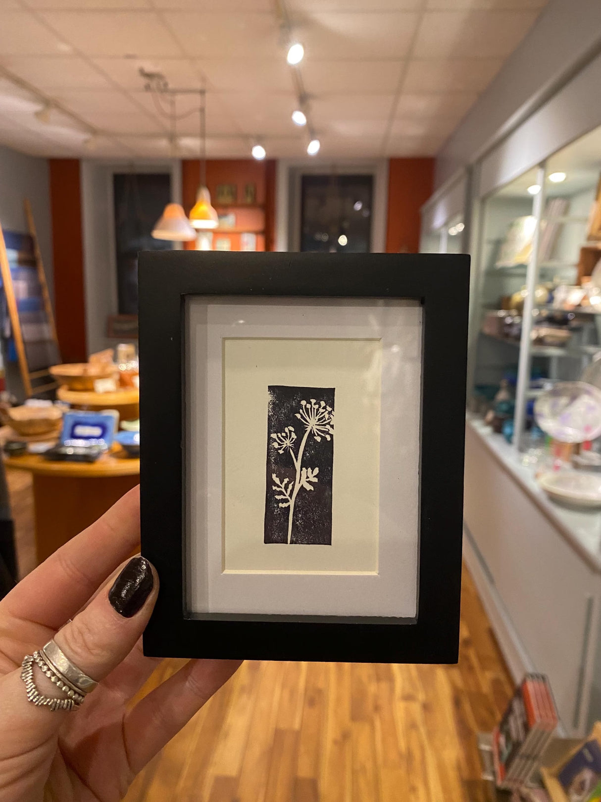 2x3 Queen Anne's Lace Print from Kellie Rainville at Pinch in Northampton, MA