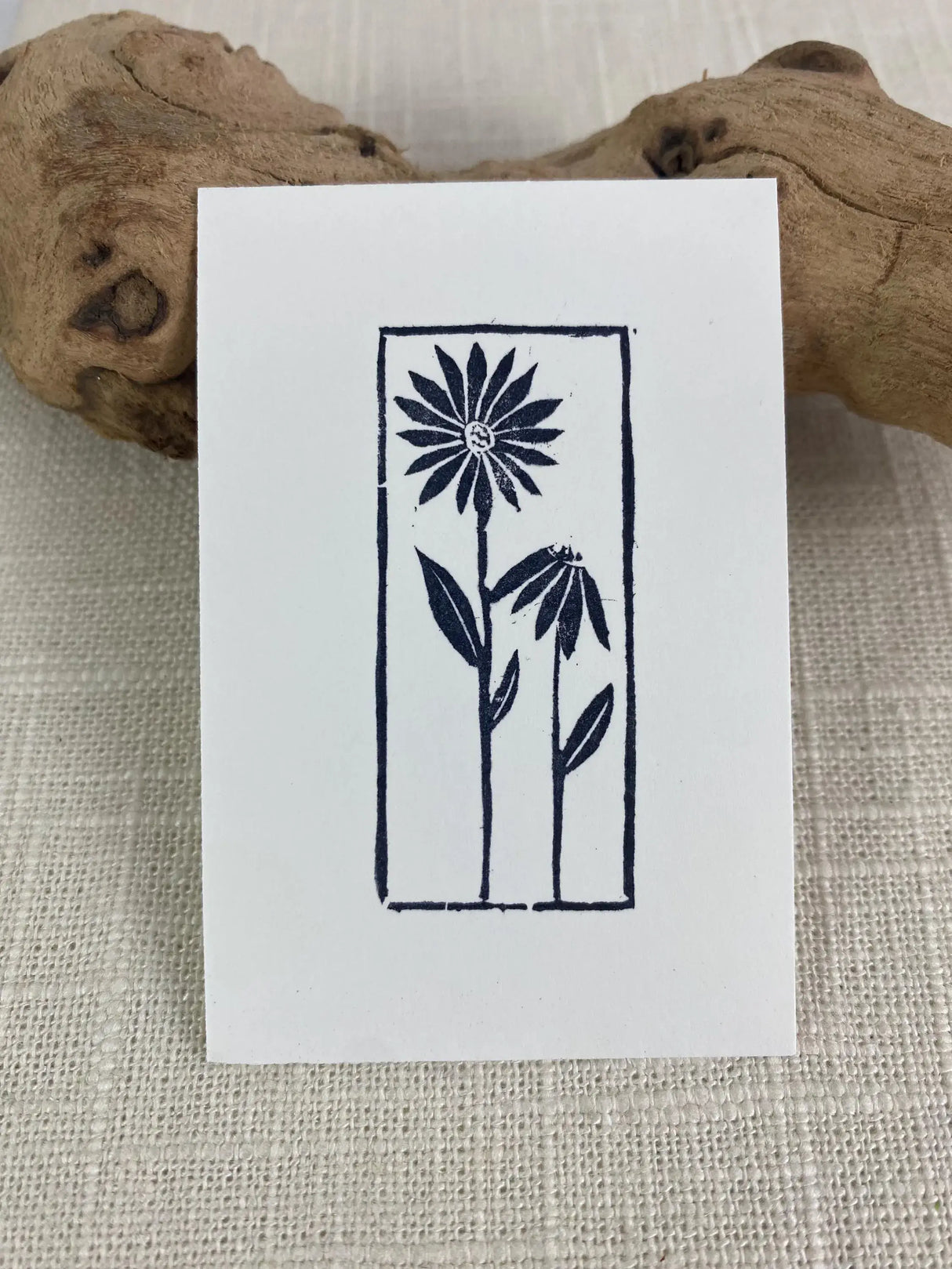 2x3 Daisies Print from Kellie Rainville at Pinch in Northampton, MA