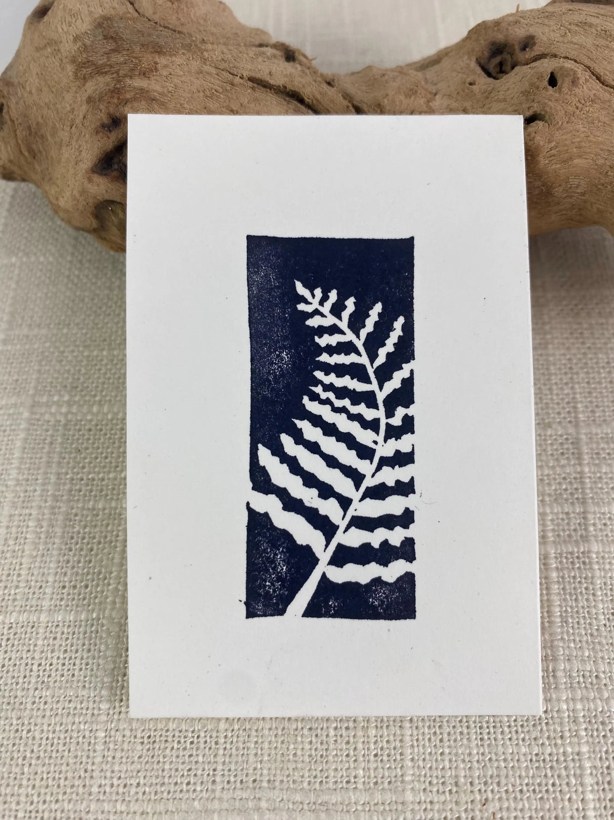 2x3 Fern Print from Kellie Rainville at Pinch in Northampton, MA