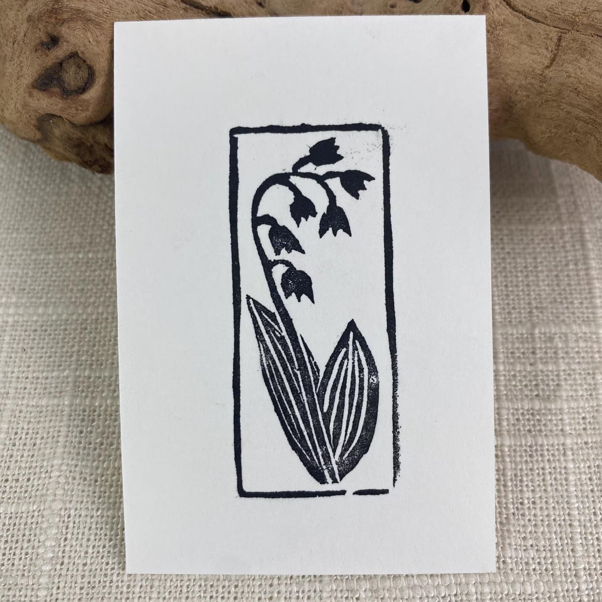 2x3 Lily of the Valley Print from Kellie Rainville at Pinch in Northampton, MA
