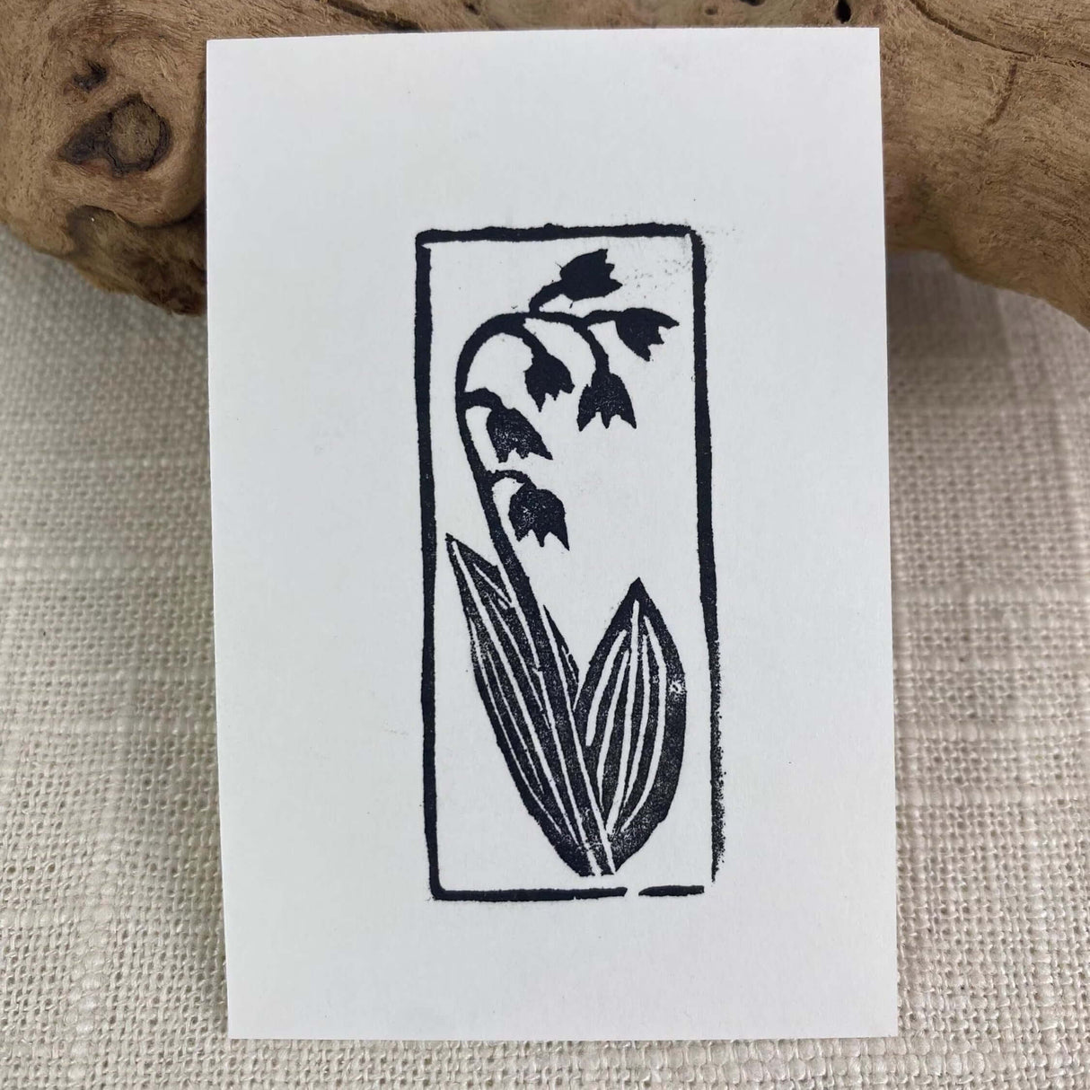 2x3 Lily of the Valley Print from Kellie Rainville at Pinch in Northampton, MA