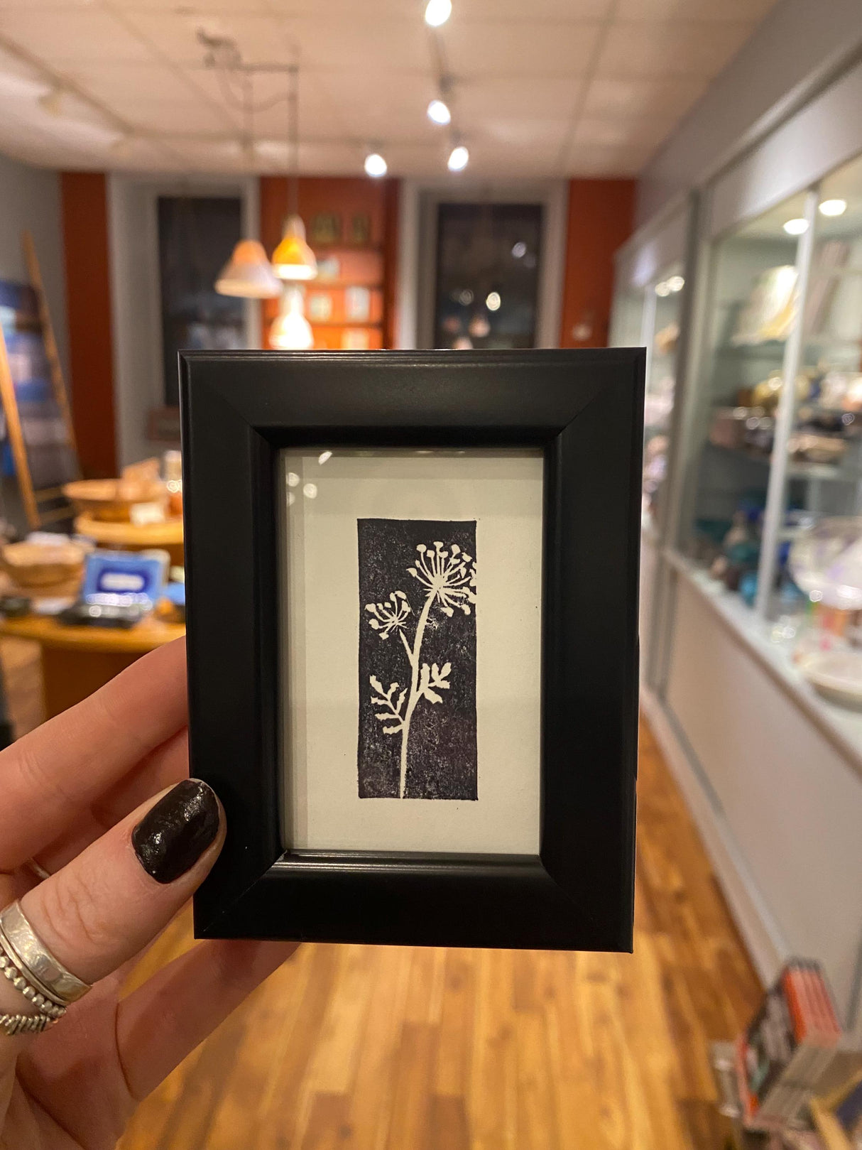 2x3 Queen Anne's Lace Print from Kellie Rainville at Pinch in Northampton, MA