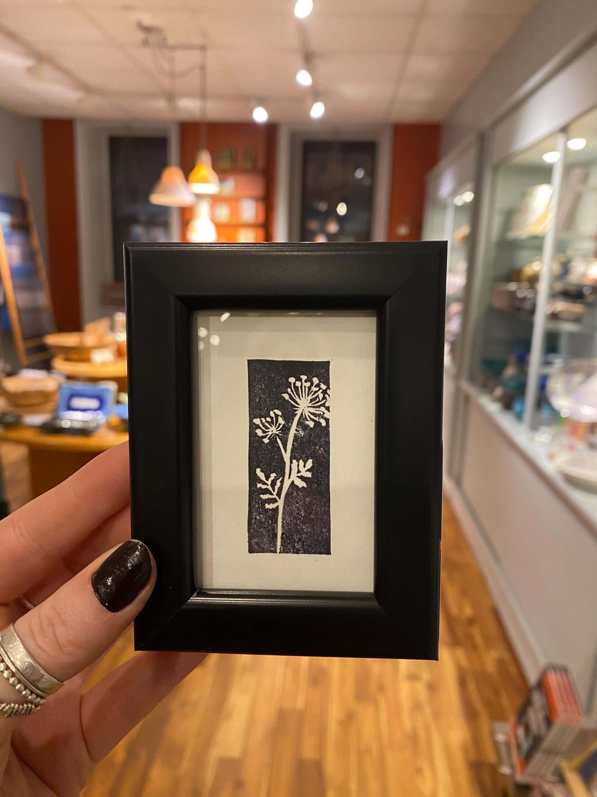2x3 Queen Anne's Lace Print from Kellie Rainville at Pinch in Northampton, MA