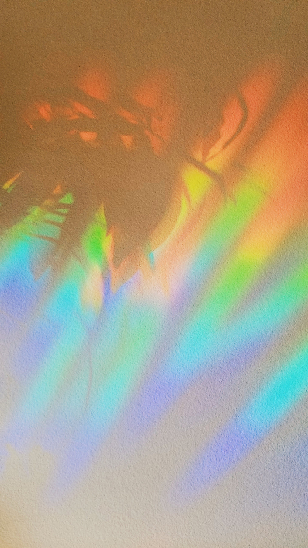 You Are All of My Stars Suncatcher from HEMLEVA at Pinch in Northampton, MA