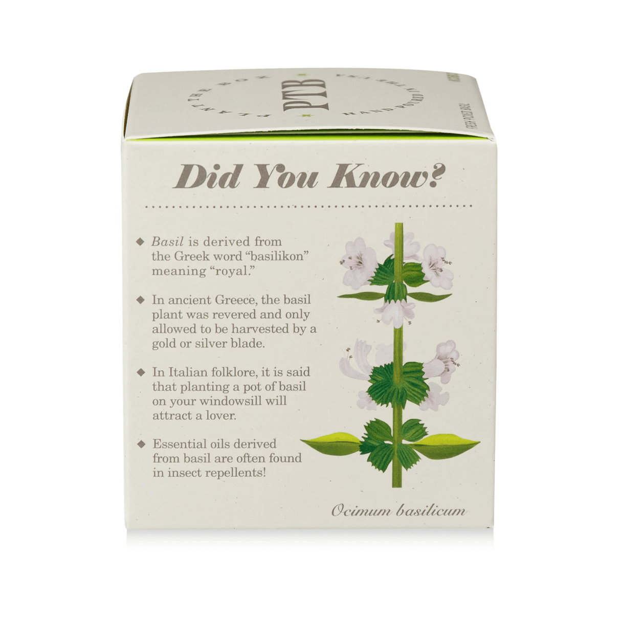 Fresh Picked Basil Plant the Box Candle from KOBO at Pinch in Northampton, MA