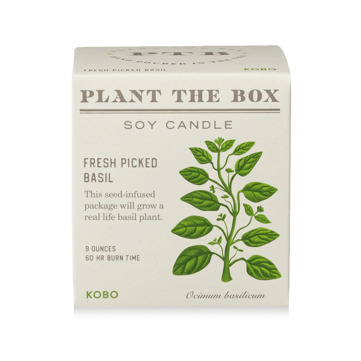 Fresh Picked Basil Plant the Box Candle from KOBO at Pinch in Northampton, MA