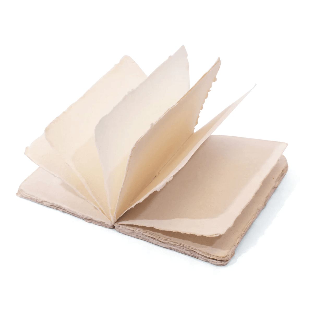Large Deckled Edge Velveteen Rabbit Notebook at PINCH