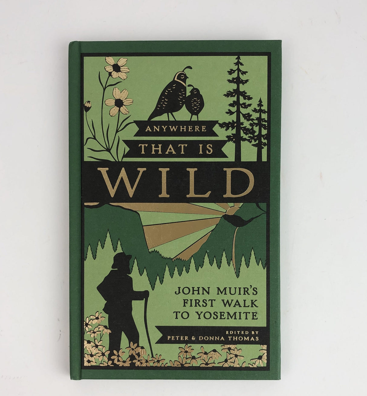 Anywhere That is Wild: John Muir's First Walk to Yosemite from Ingram Books at Pinch in Northampton, MA