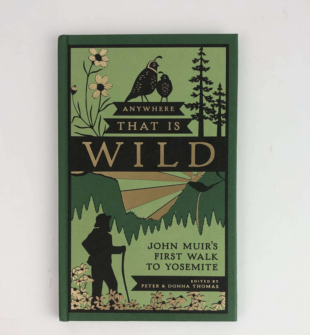 Anywhere That is Wild: John Muir's First Walk to Yosemite from Ingram Books at Pinch in Northampton, MA
