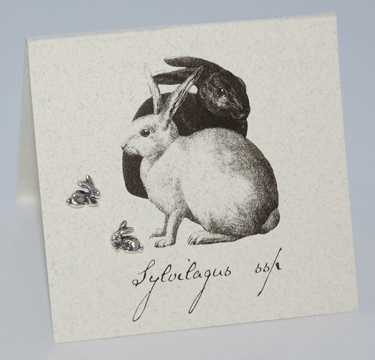 Rabbit Earrings in Sterling Silver at PINCH