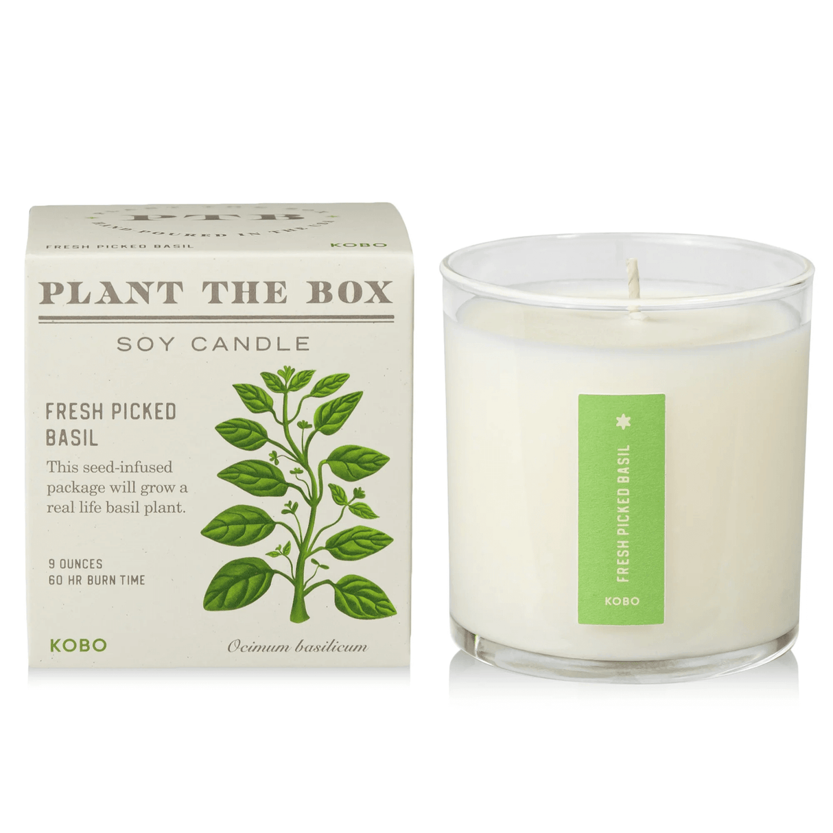 Fresh Picked Basil Plant the Box Candle from KOBO at Pinch in Northampton, MA