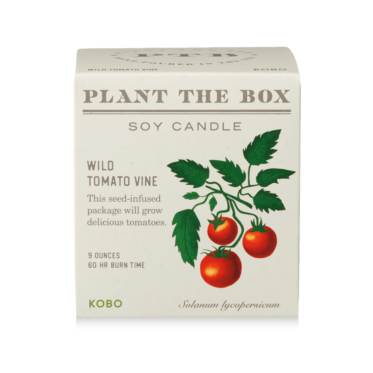 Wild Tomato Vine Plant the Box Candle from KOBO at Pinch in Northampton, MA