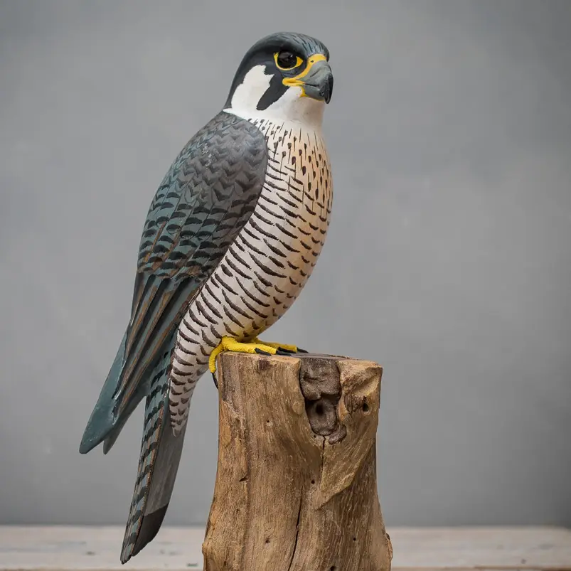 Peregrine Falcon Wooden Carving from Aviologie at Pinch in Northampton, MA