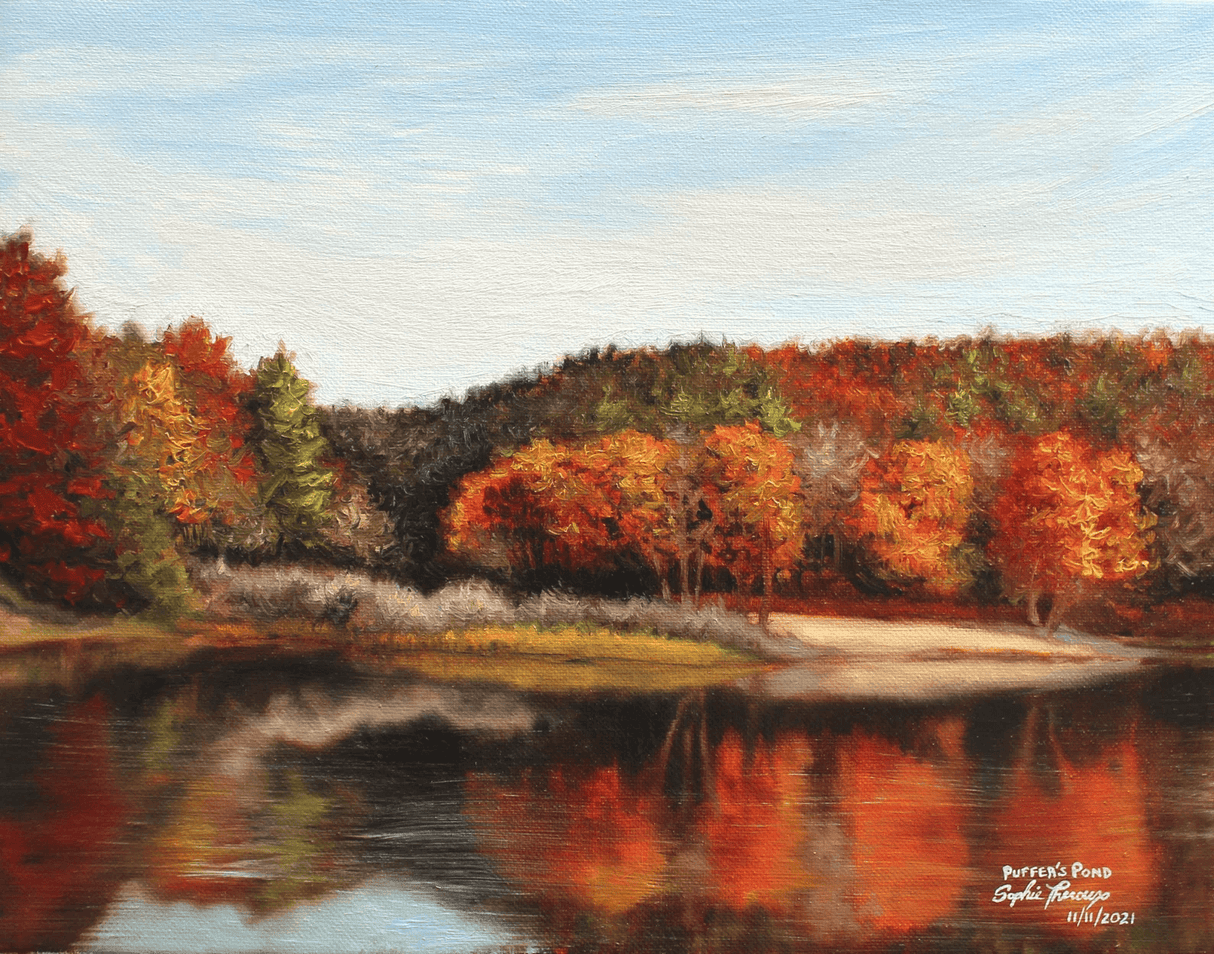 Puffer's Pond Massachusetts 11x14 Print from Sophie Theroux at Pinch in Northampton, MA