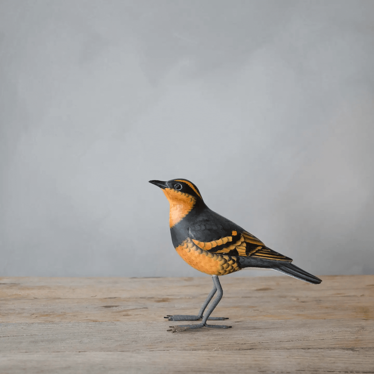 Varied Thrush Wooden Statue from Aviologie at Pinch in Northampton, MA