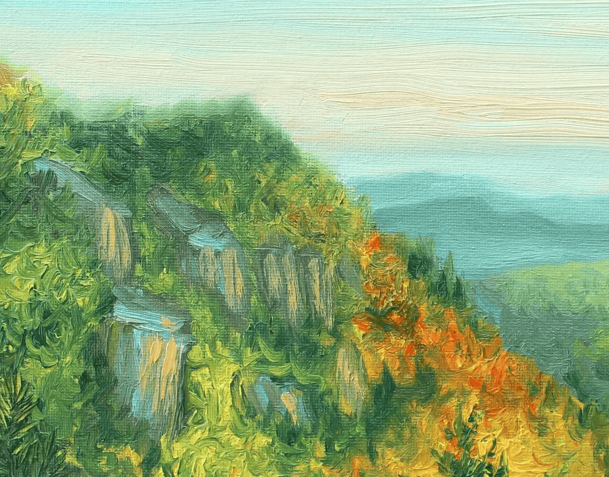 View from Mount Tom, MA 11x14 Print from Sophie Theroux at Pinch in Northampton, MA