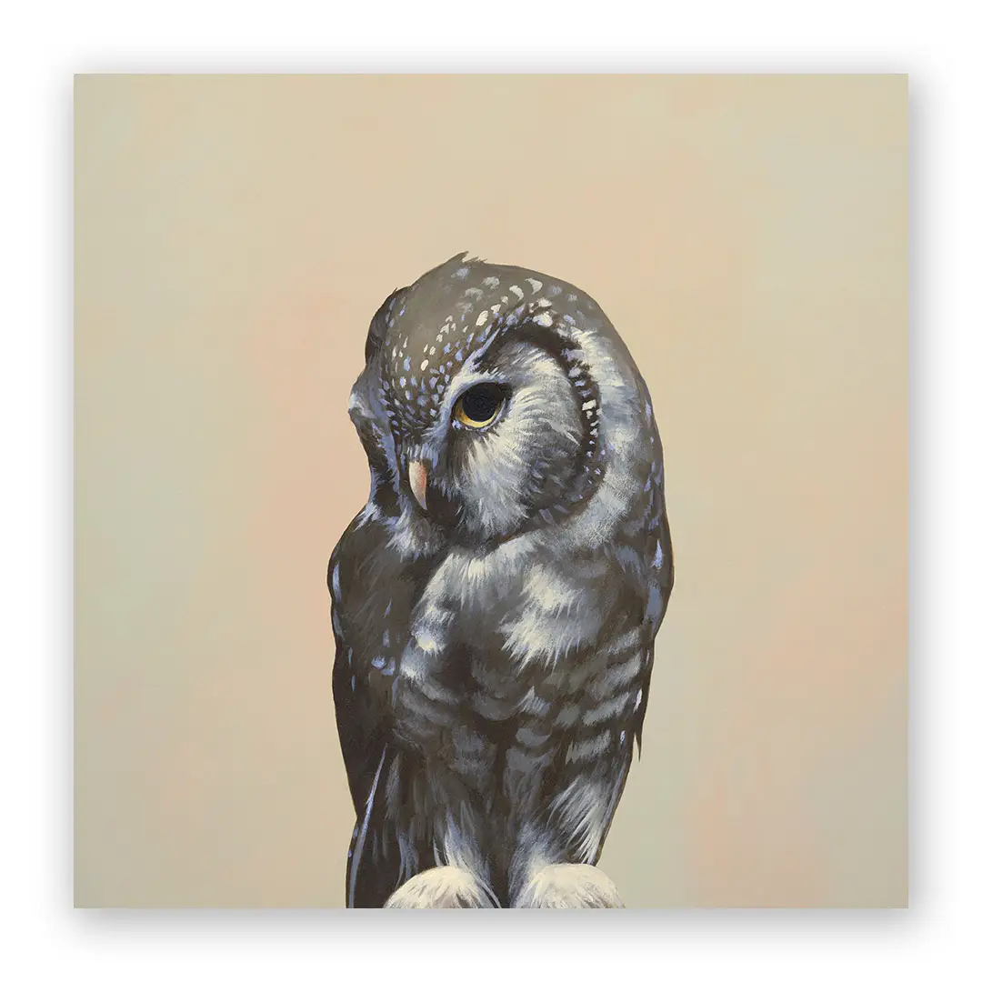 Owl 10x10 Wooden Panel from The Mincing Mockingbird at Pinch in Northampton, MA