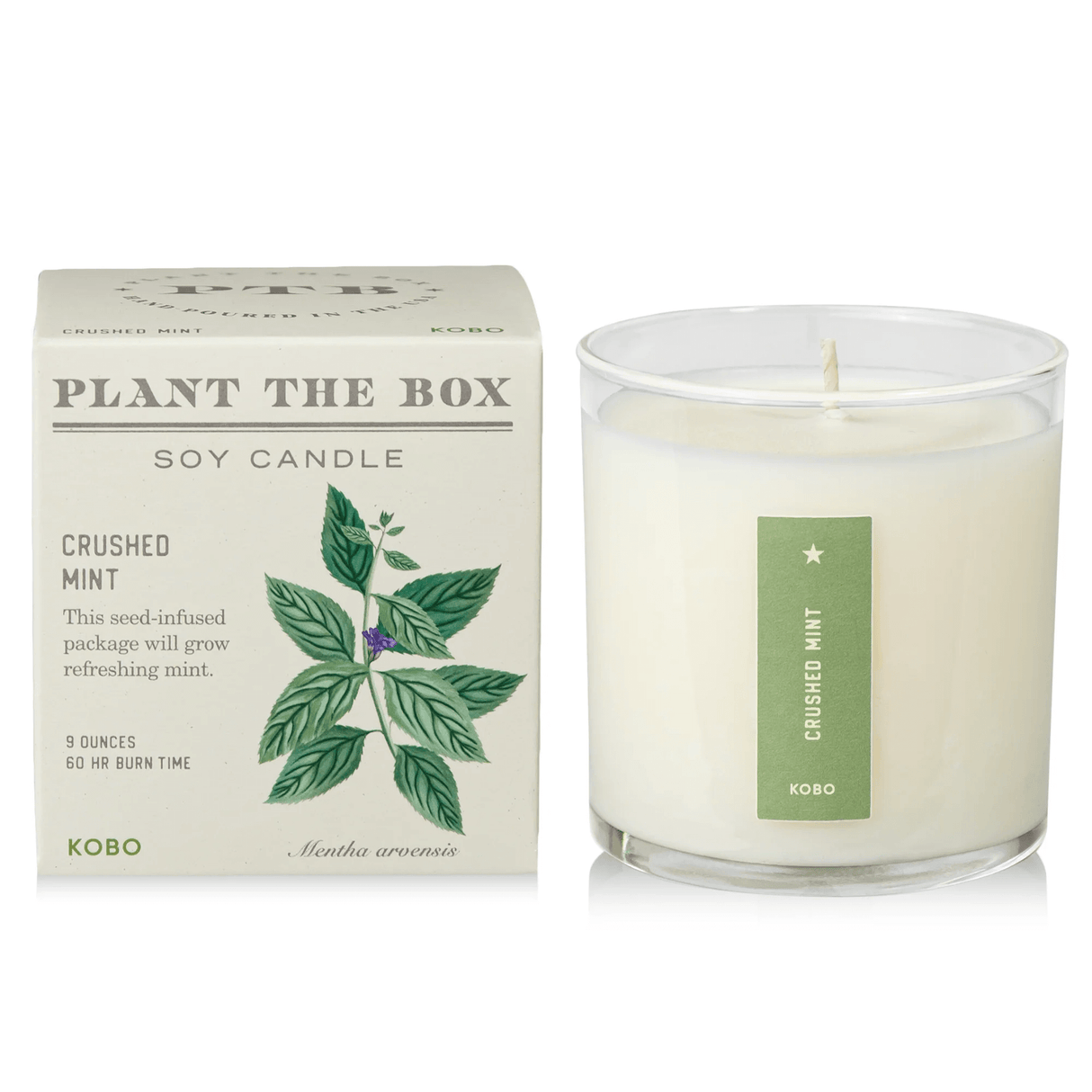 Crushed Mint Plant the Box Candle from KOBO at Pinch in Northampton, MA