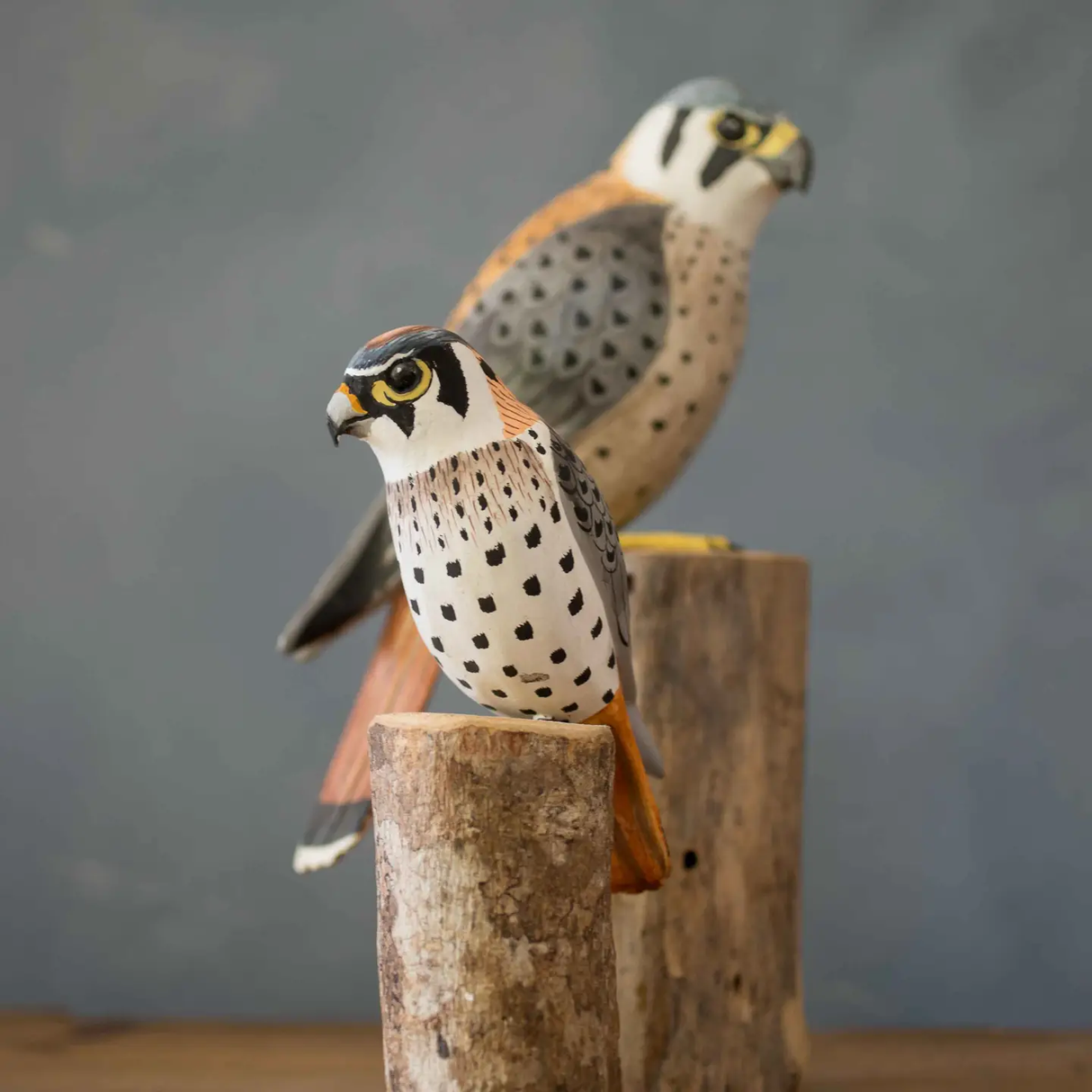 Mini Wooden Kestrel 6.75" from Aviologie at Pinch in Northampton, MA