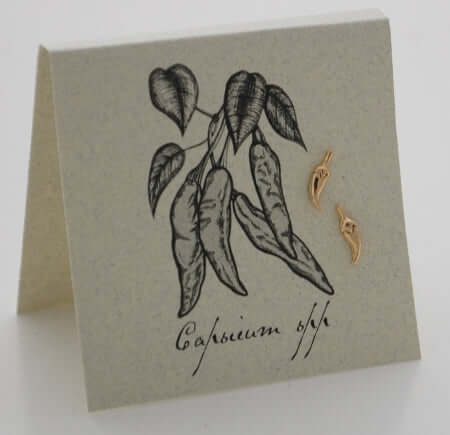 Hot Chili Pepper Earrings in 14k Gold Fill at PINCH