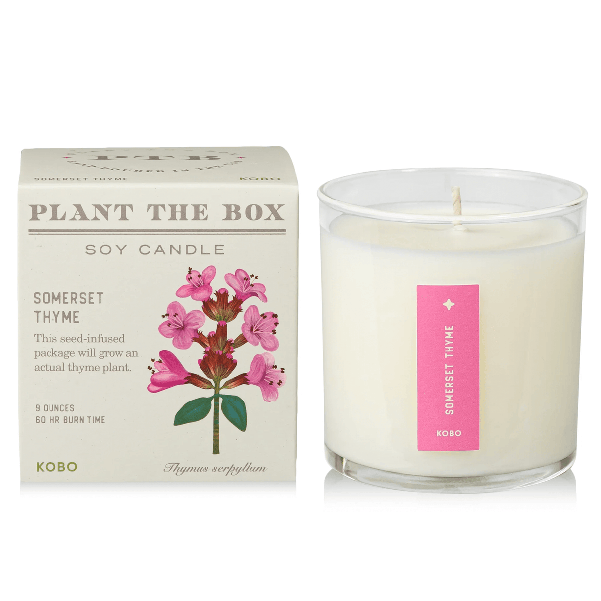 Somerset Thyme Plant the Box Candle from KOBO at Pinch in Northampton, MA