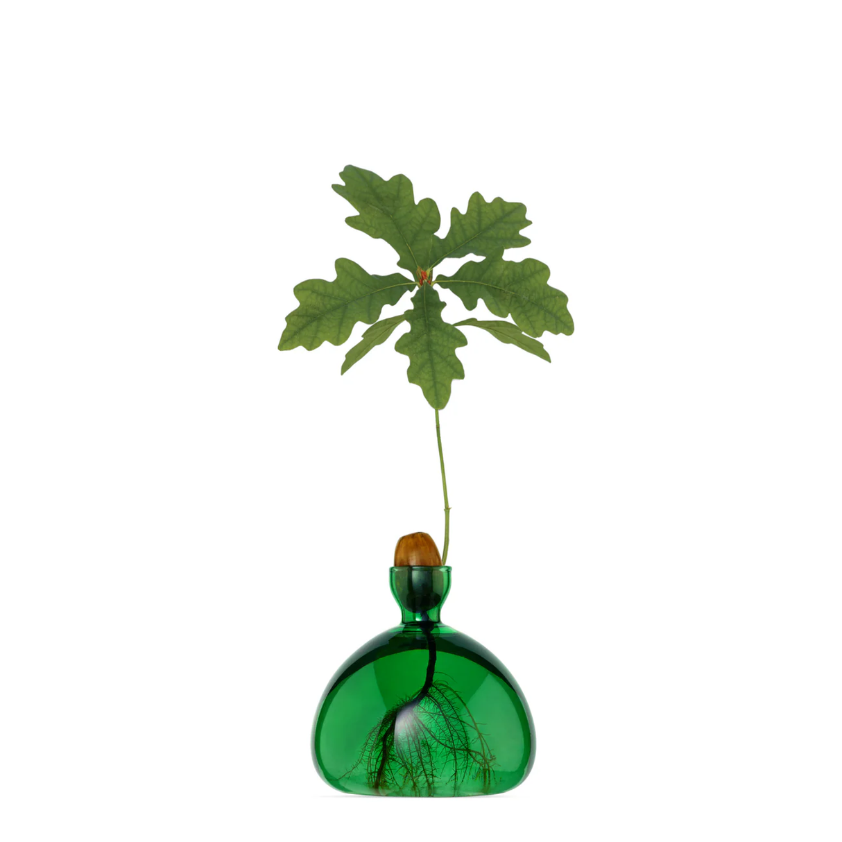 Acorn Vase in Emerald Green