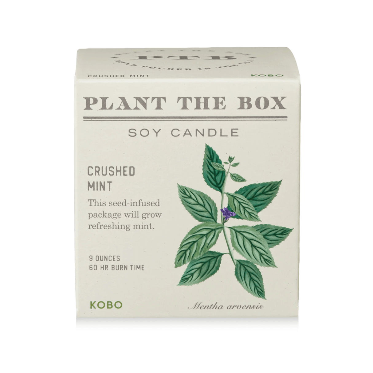 Crushed Mint Plant the Box Candle from KOBO at Pinch in Northampton, MA