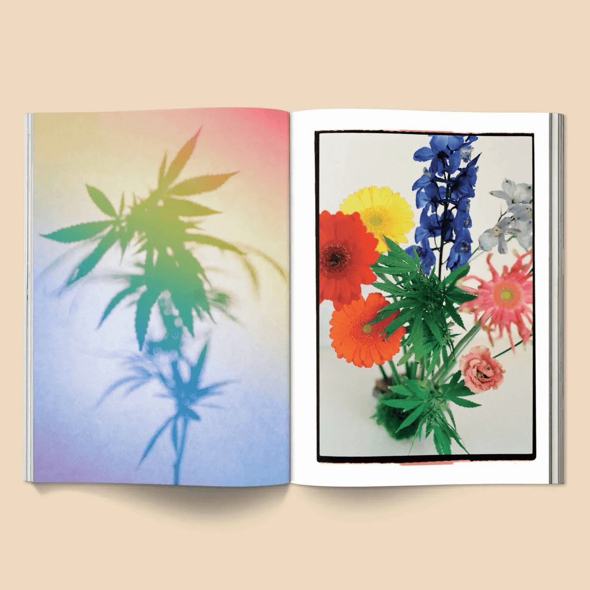 Broccoli Magazine Issue 20 from Broccoli at Pinch in Northampton, MA